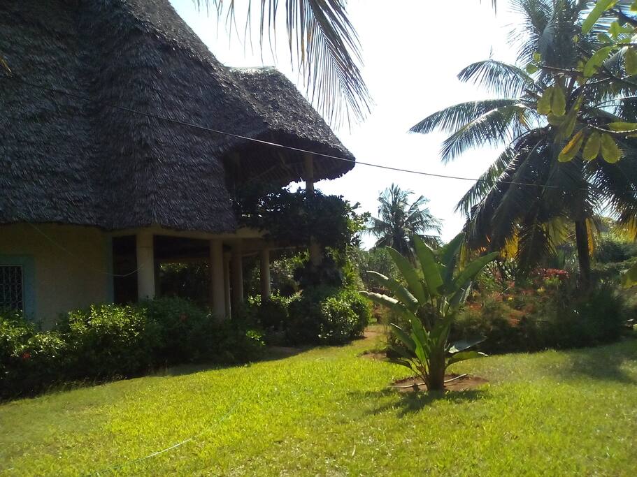 Garden and house