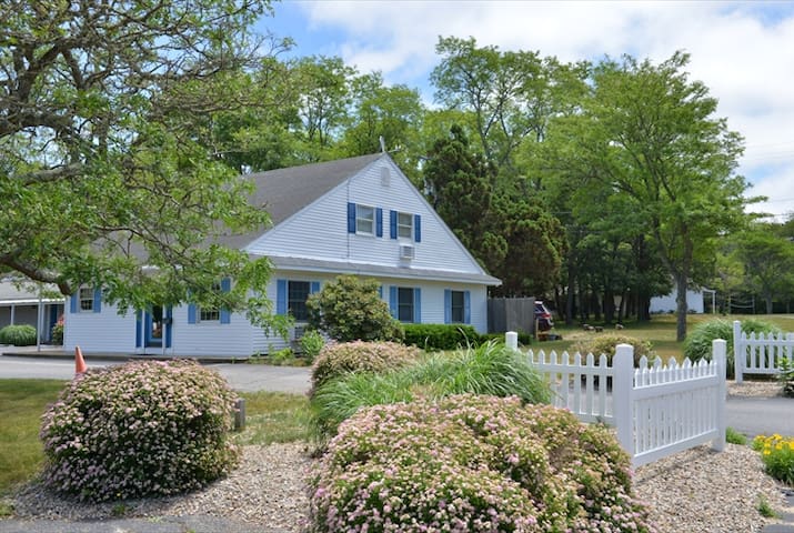 Blue Dolphin Inn  in north eastham ,