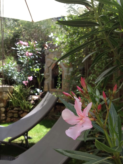Jardin fleuri.