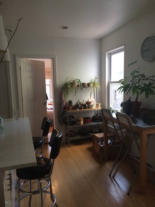 Sunny open plan living