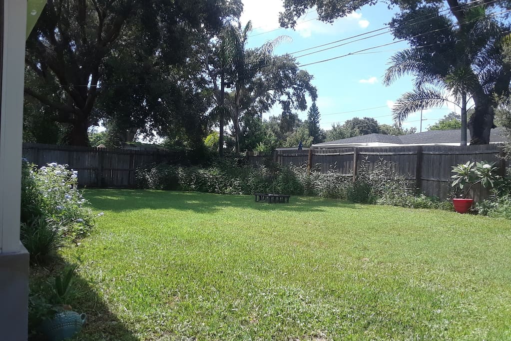 Backyard