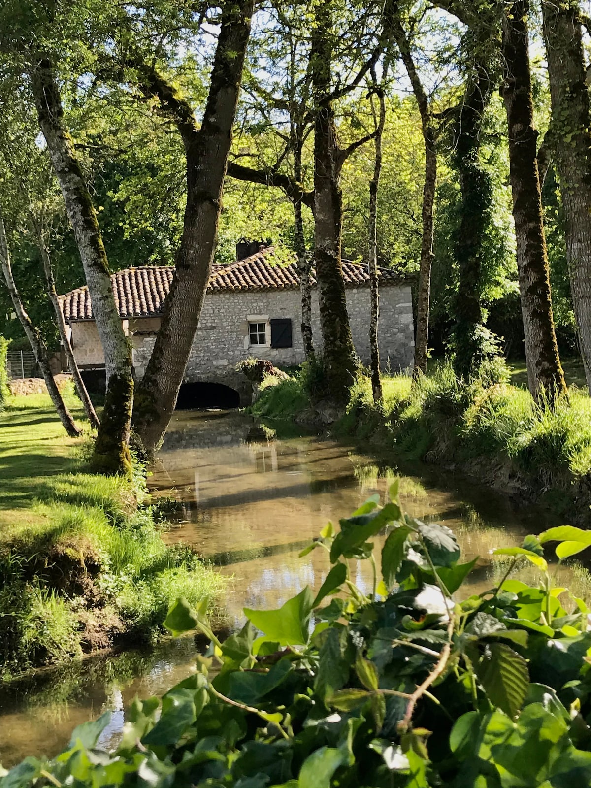 An historic stone mill is visible beside a tranquil river, surrounded by lush greenery. Tall trees provide shade, while the water reflects the surrounding landscape. Flowers and grass create a natural border along the riverbank, enhancing the peaceful outdoor setting.