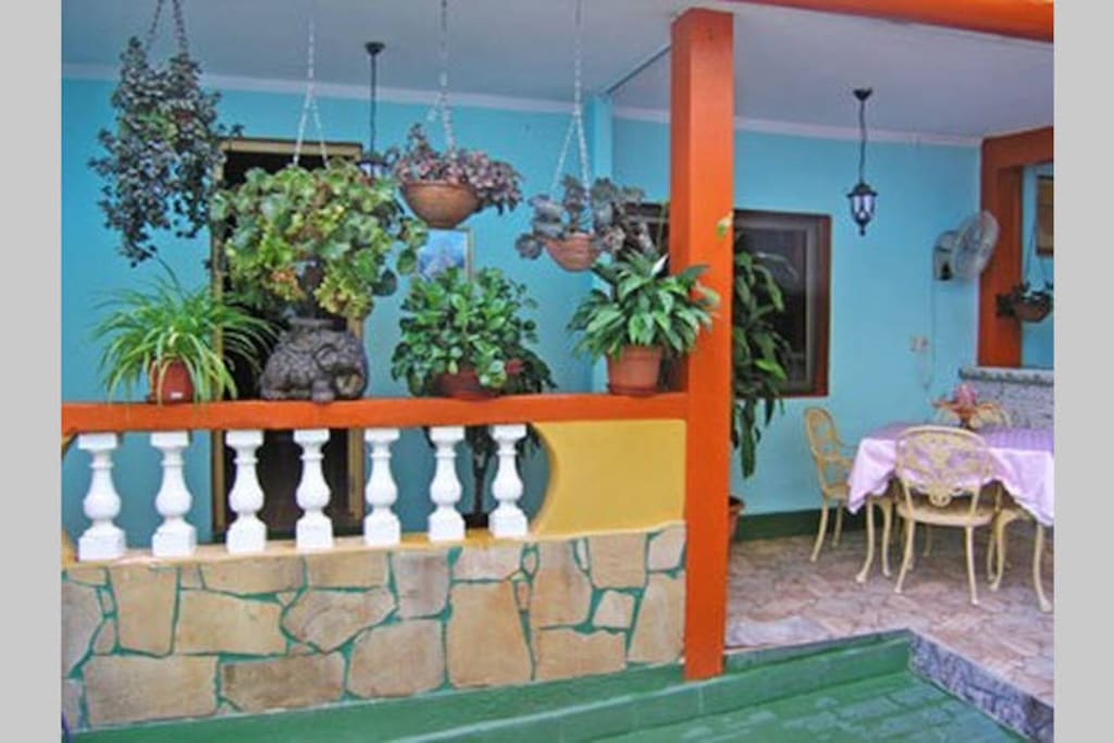Terrace 1