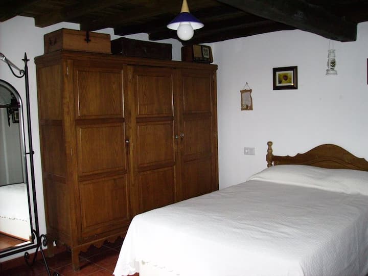 Habitación 1