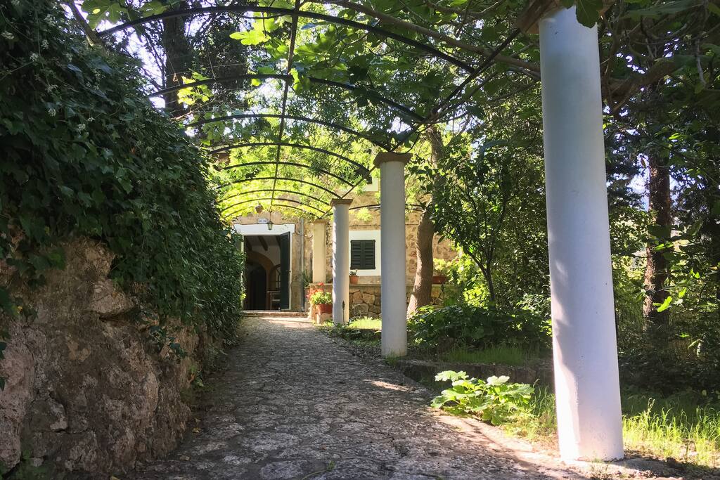 Entrada