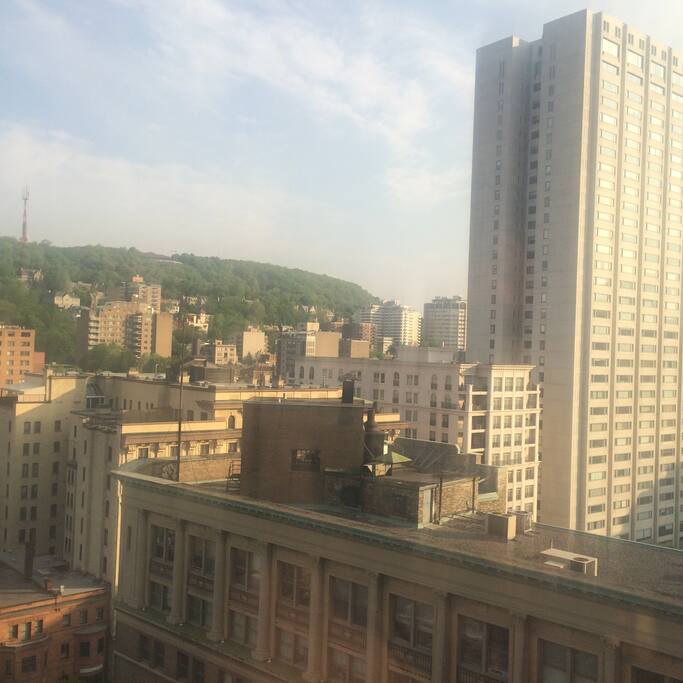 View Outside
