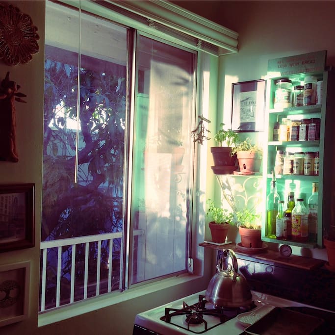 Morning Kitchen Light
