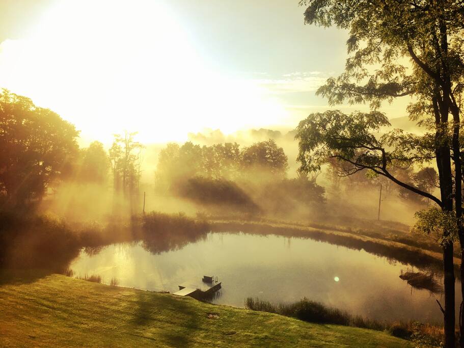 Good morning, sunshine!