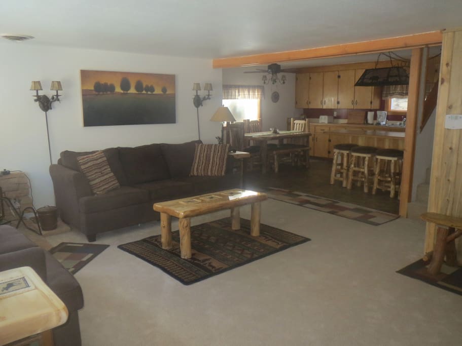 Living Room - couch makes out into a queen bed