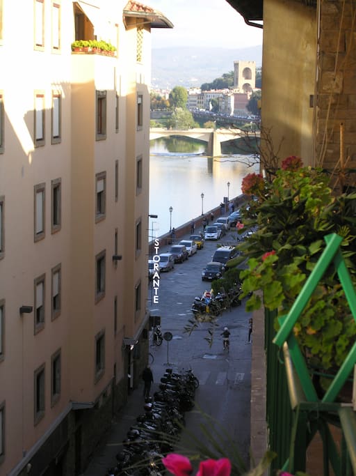 view