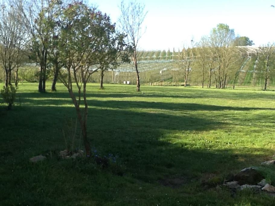 Our land