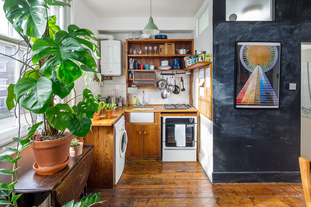 Pot plants give the space a fresh feel