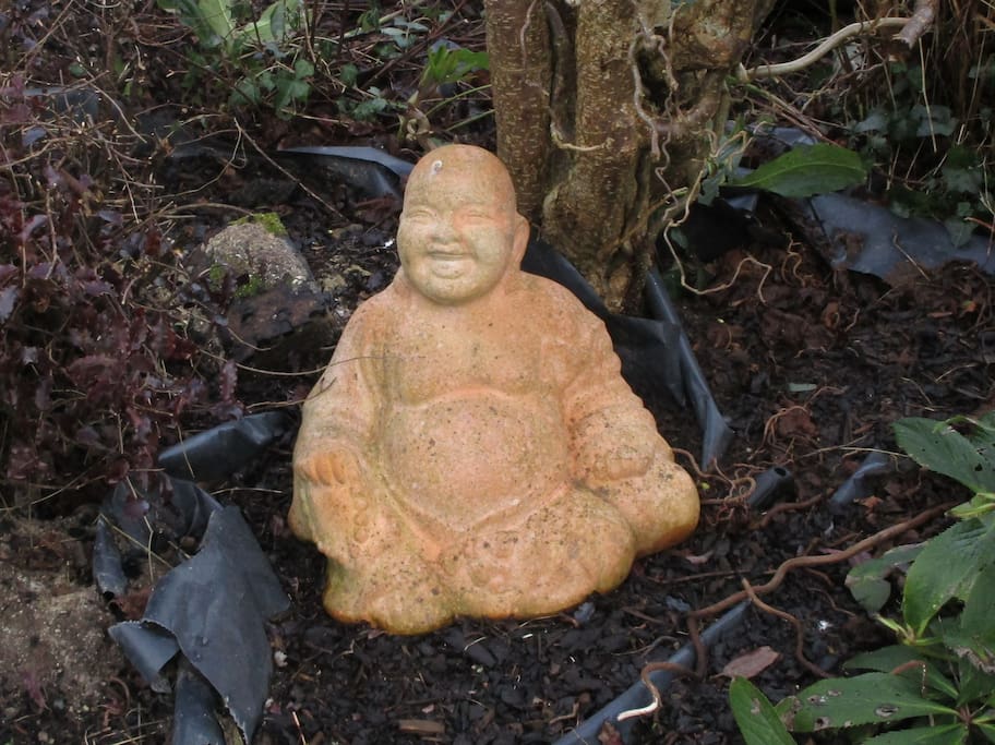 Laughing Buddha at Haven Hill - Wonder Why He's Laughing??