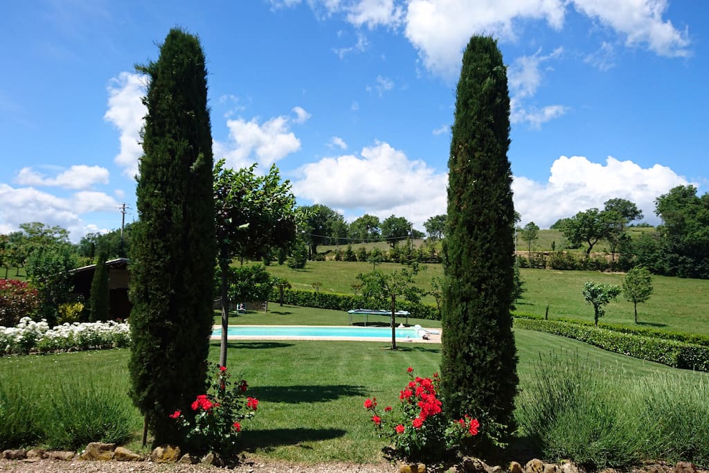 Pool and garden