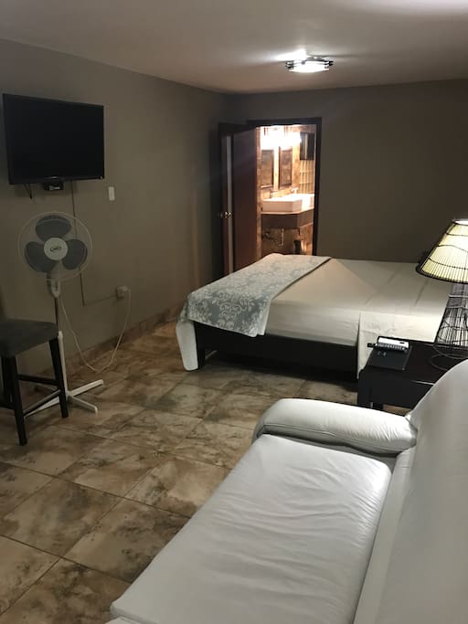 Bottom floor master bedroom