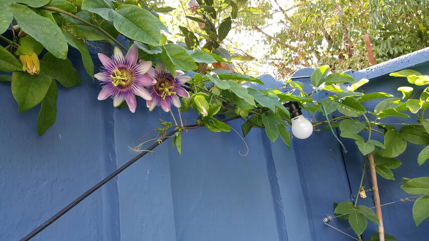 Grande maison familiale avec piscine gallery image 5