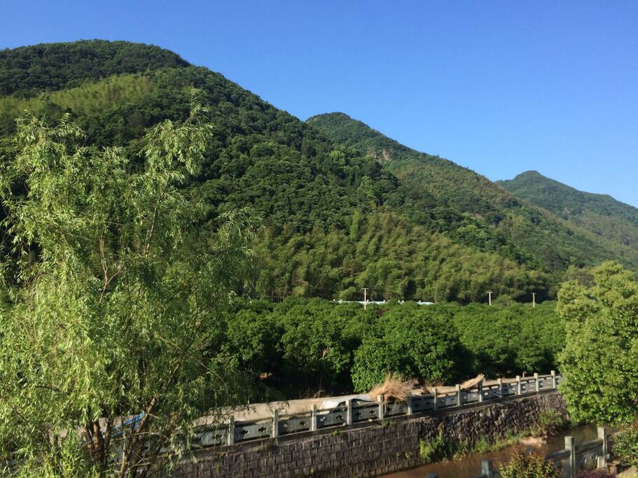 窗外的风景天然自成