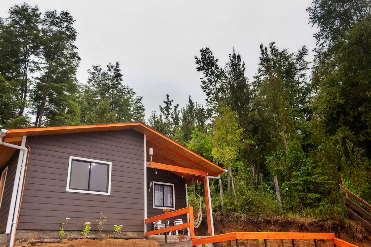 A modern cabin is nestled among native forests, featuring a sloped roof and a spacious porch with wooden railings. Large windows allow for natural light, while the surrounding greenery creates a serene backdrop. The pathway leads to the entrance, enhancing accessibility.
