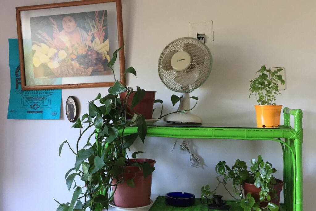 Detalles de la casa