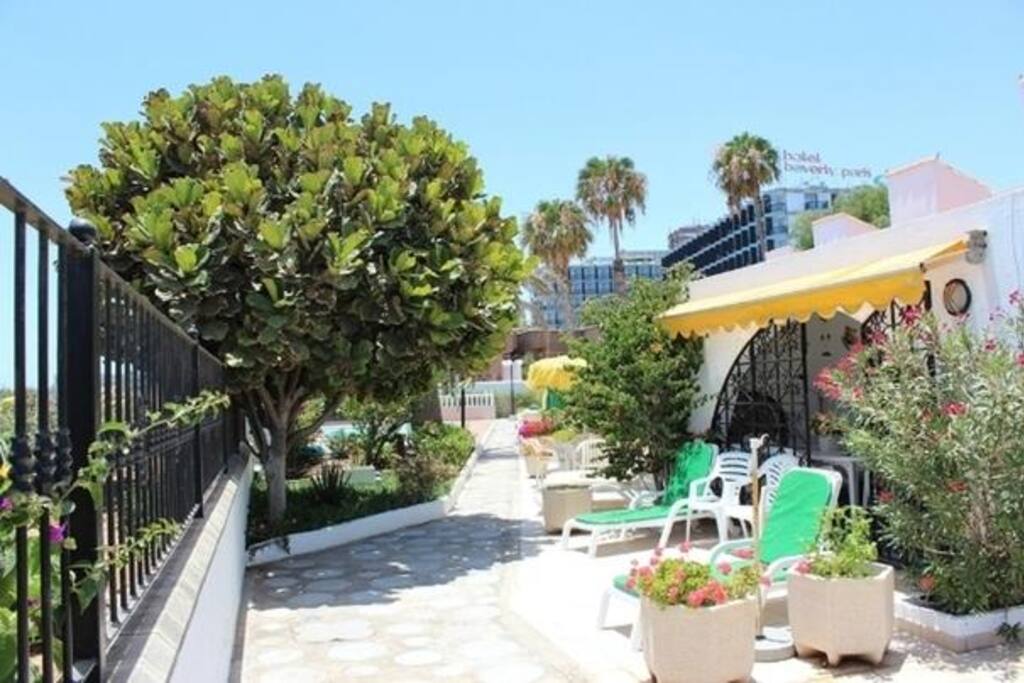Terraza