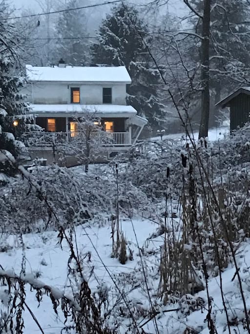 Winter Wonderland
