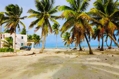 Ivys Fish Lab (PRIVATE BEACH)