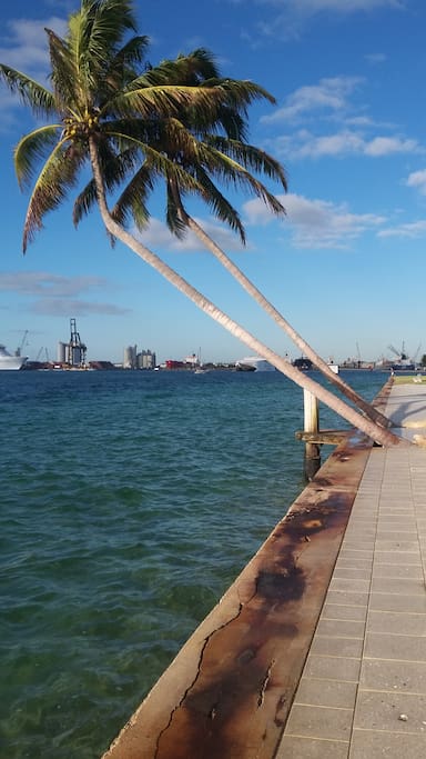 Port everglades