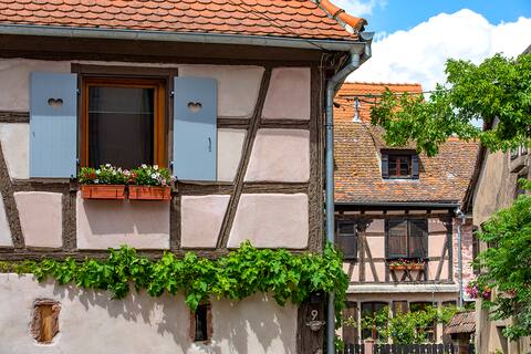 Le Nid de Birsa 3-star Alsatian house
