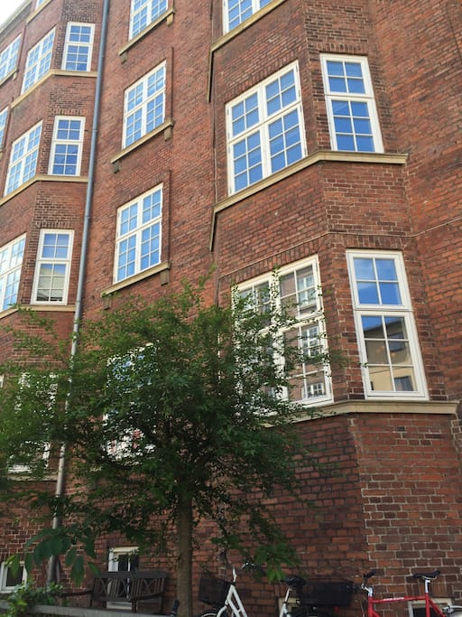 The building