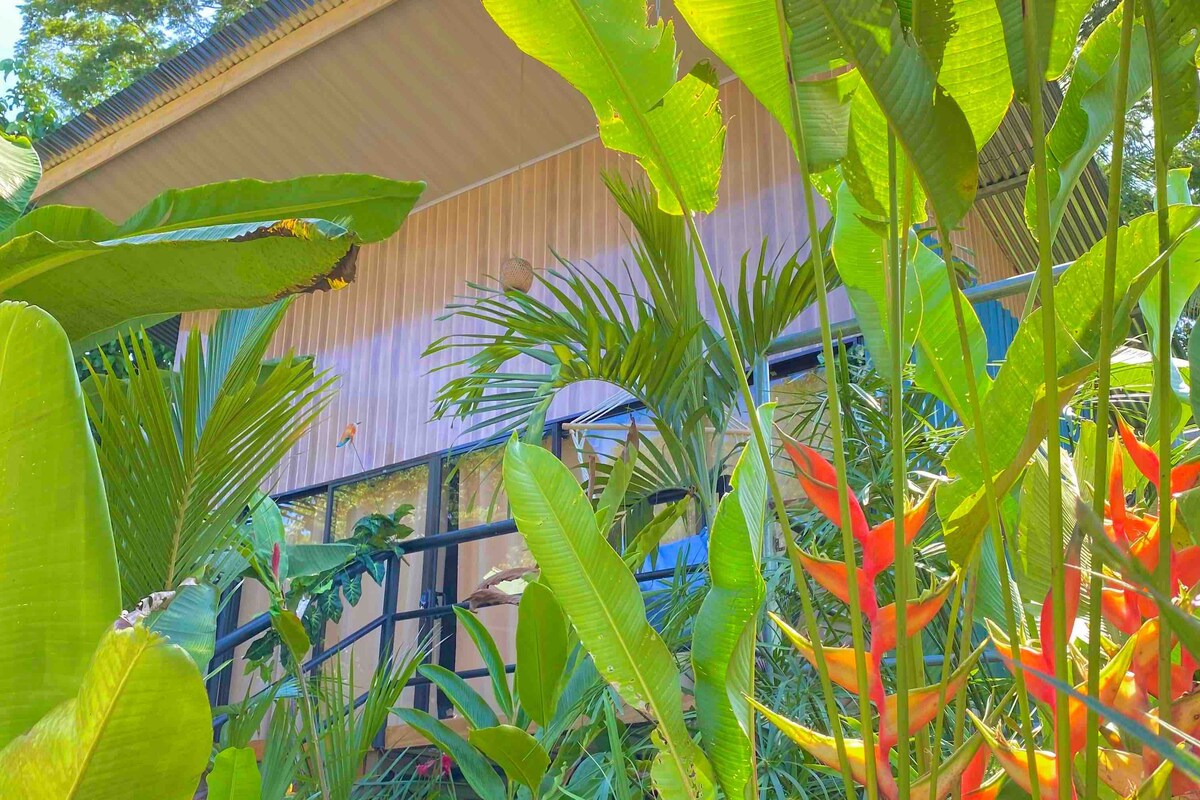 Lush tropical foliage surrounds a modern structure, with vibrant green leaves and splashes of red and orange from nearby plants. Large windows reflect the natural light, creating a seamless integration between the home and its beautiful outdoor environment.