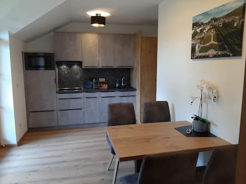 Popular Airbnb listing: Superior Apartment by Pension Ballwein in Leopoldskroner Moos