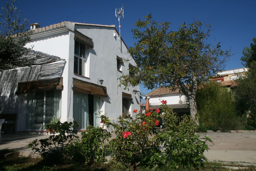 Rosal frente a la fachada