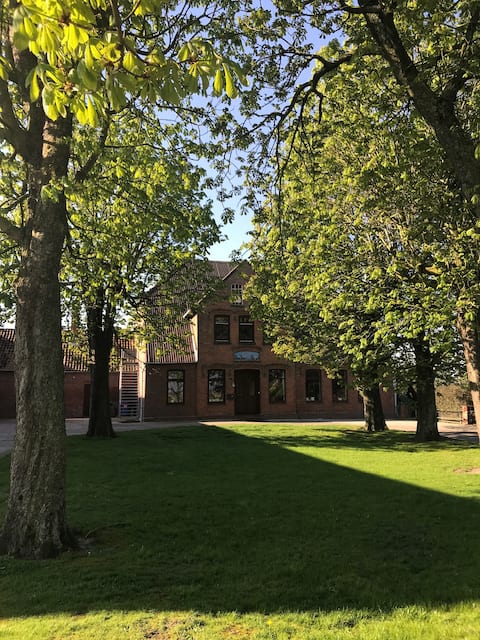 Successful Airbnb property: Nørdnhof | FeWo Køhlbuur in Dithmarschen