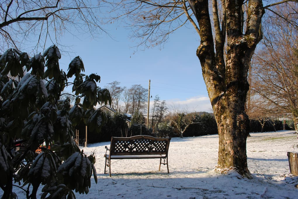 Garden in the winter