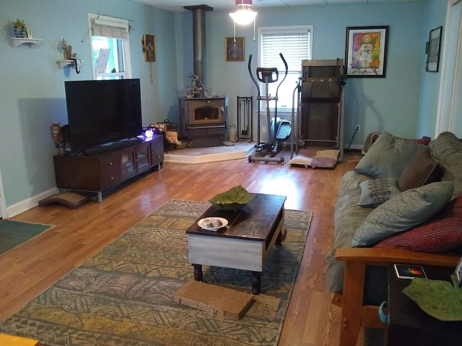 Back room living area second view. Futon.