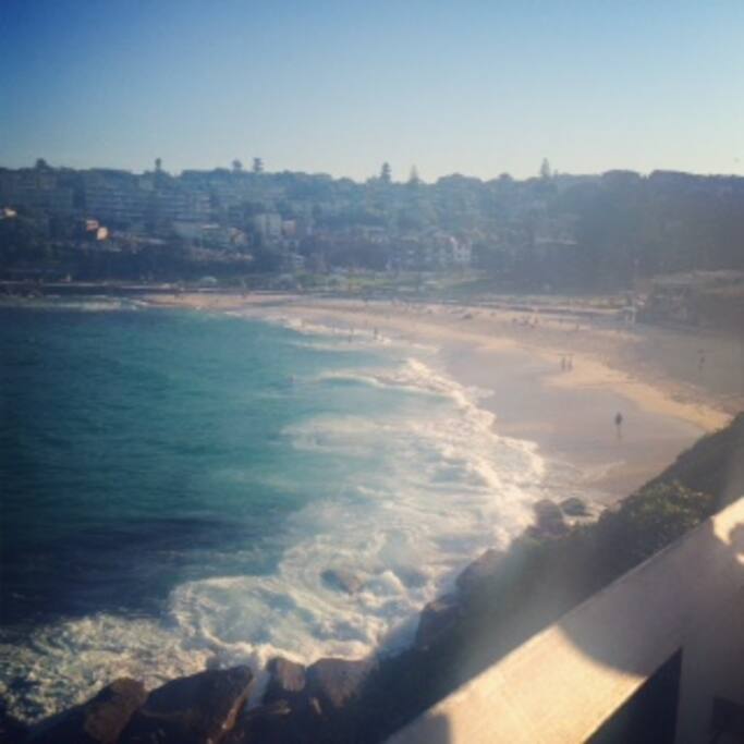 Bronte beach