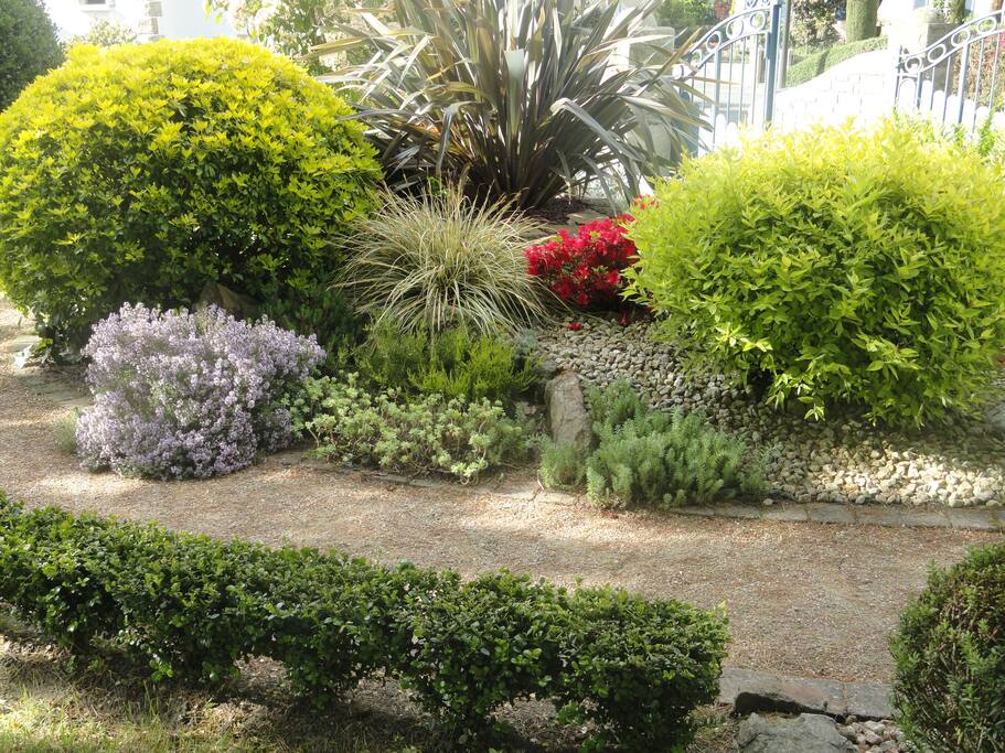 un coin du jardin