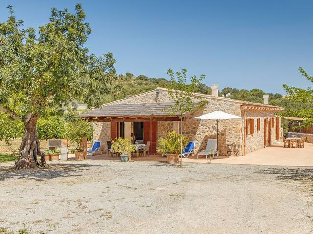 Mamici gallery image 4