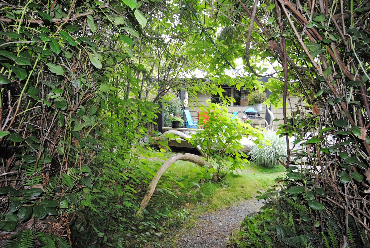 A natural path framed by lush greenery leads to the outdoor area of the cottage. The serene space features seating arrangements and is subtly integrated into the surrounding rainforest vegetation, providing a sense of privacy and tranquility.