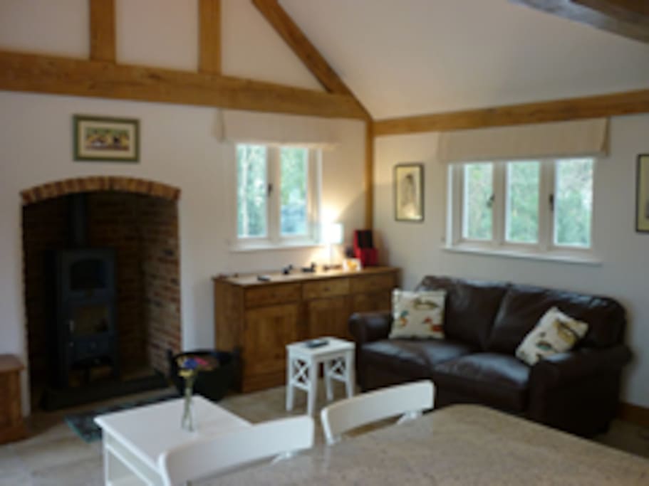 Open plan living room with sofa - turns into sofabed