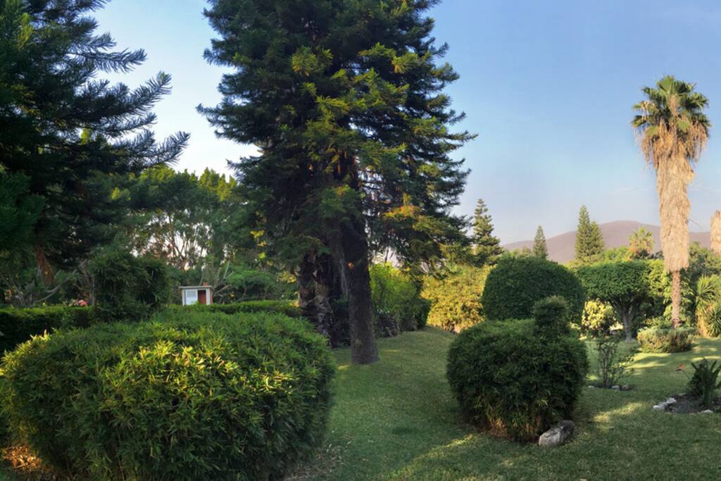Jardin