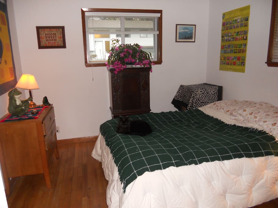 Guest room (cat optional)