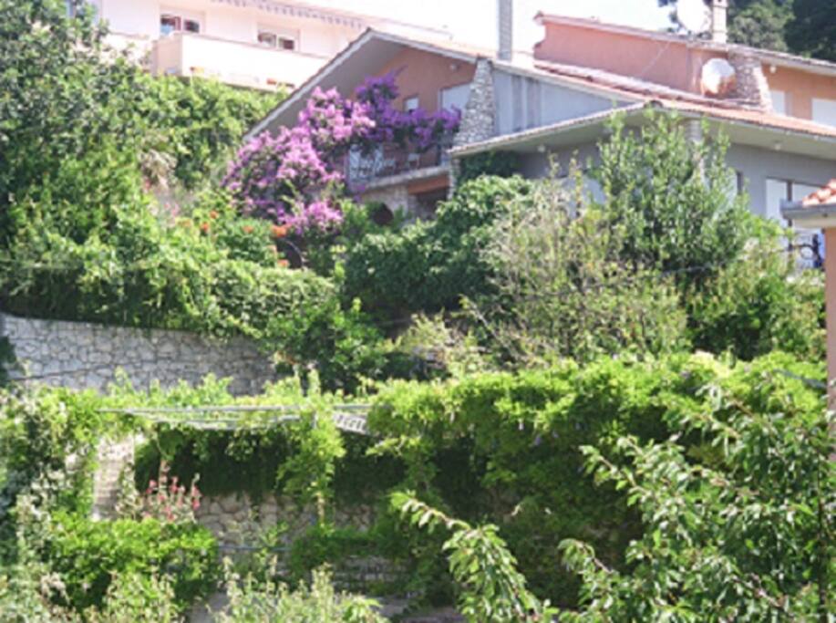 View of the house