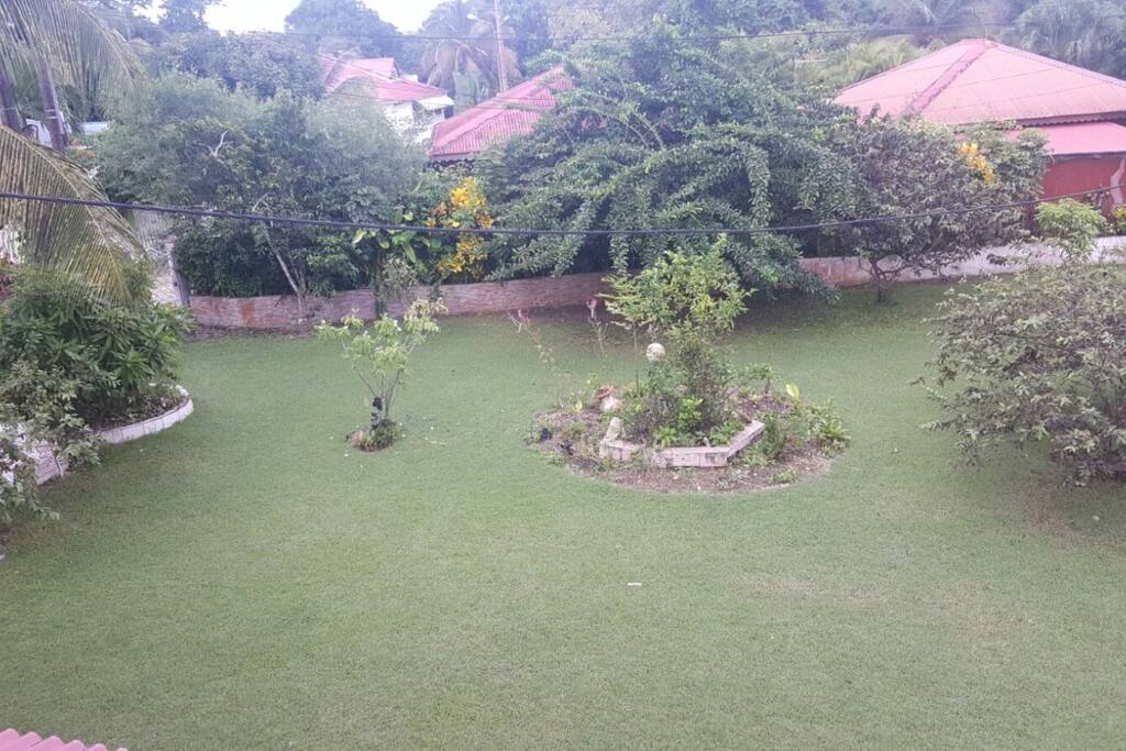 Vue sur le magnifique jardin de la Villa Ti scrié