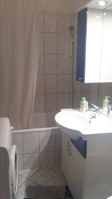 Bathroom (with tub and washing machine)