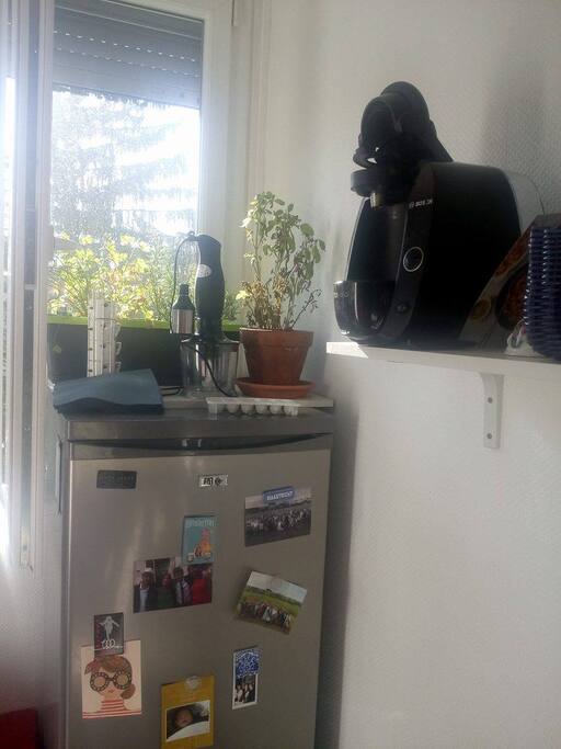 The kitchen