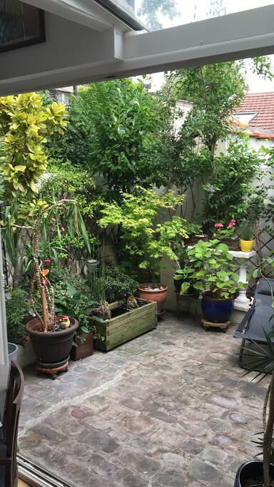 Jardin arrière