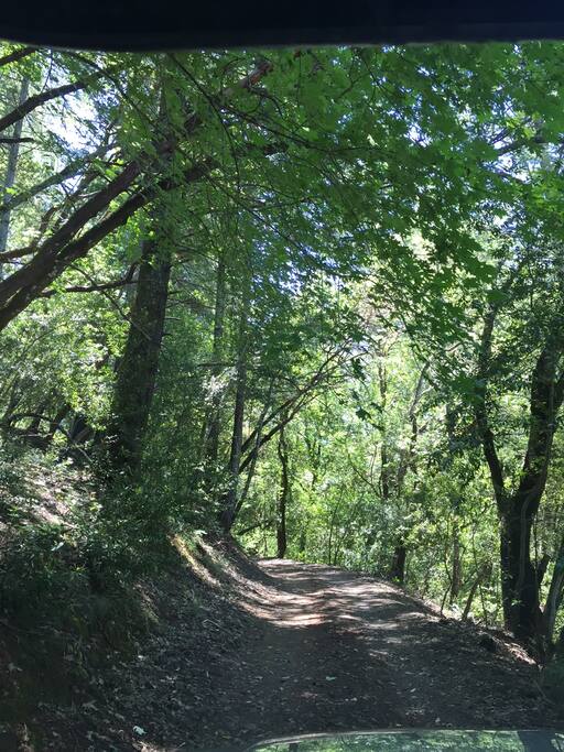 The charming drive in to Middle Earth