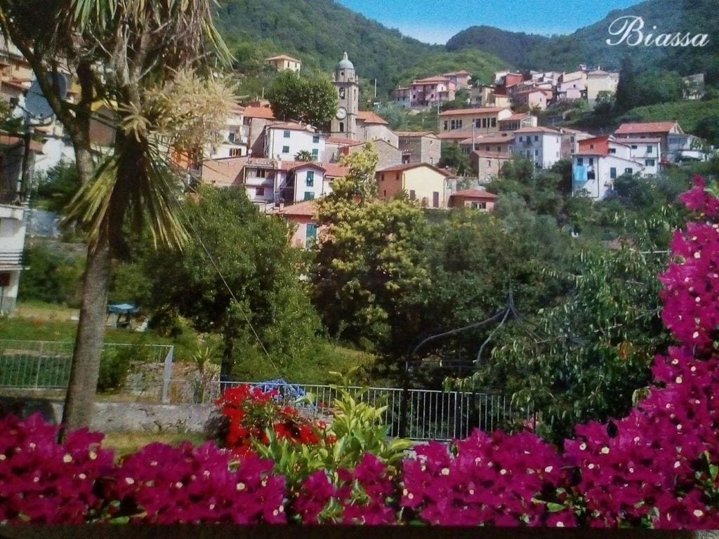 A view of the picturesque village of Biassa is framed by vibrant pink flowers. The landscape reveals colorful buildings nestled among lush greenery, with a prominent church tower visible in the background, highlighting the community's medieval architecture.