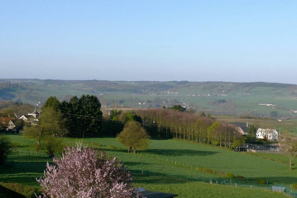 frontaal tuinzicht